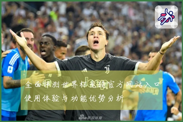 全面评测世界杯竞猜官方网站入口使用体验与功能优势分析