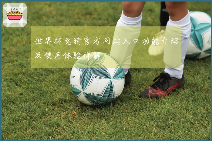 世界杯竞猜官方网站入口功能介绍及使用体验详解