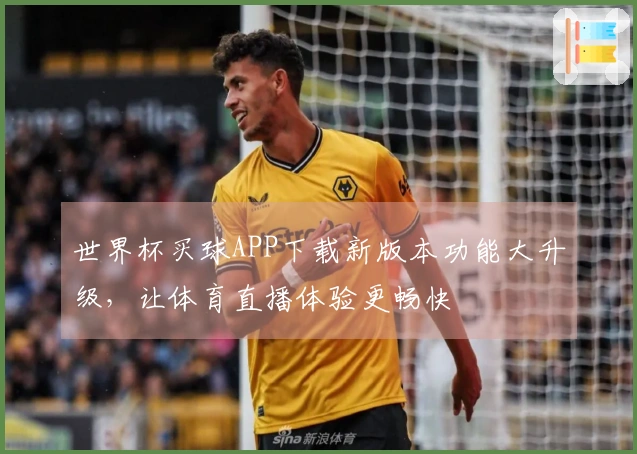 世界杯买球APP下载新版本功能大升级，让体育直播体验更畅快