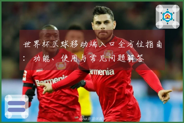 世界杯买球移动端入口全方位指南：功能、使用与常见问题解答