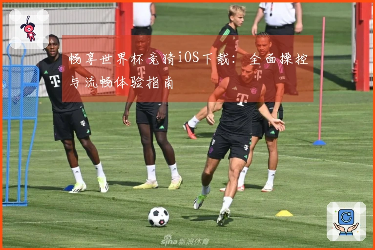 畅享世界杯竞猜iOS下载：全面操控与流畅体验指南