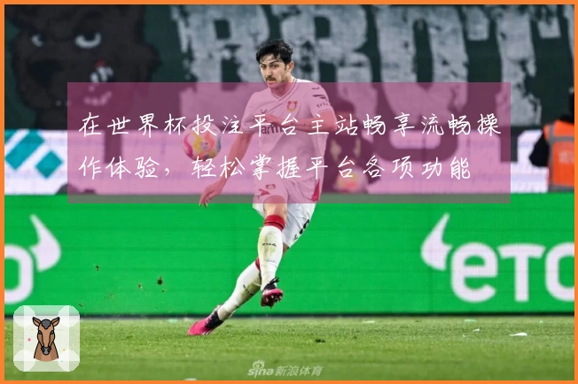 在世界杯投注平台主站畅享流畅操作体验，轻松掌握平台各项功能