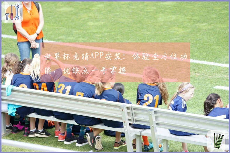 世界杯竞猜APP安装：体验全方位功能，优缺点一手掌握
