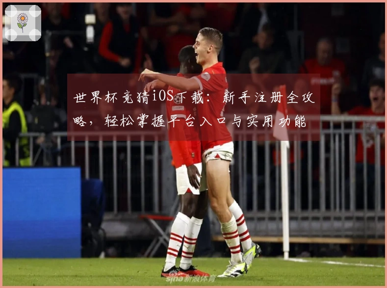 世界杯竞猜iOS下载：新手注册全攻略，轻松掌握平台入口与实用功能